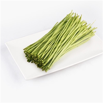 精品生态芦蒿 250g