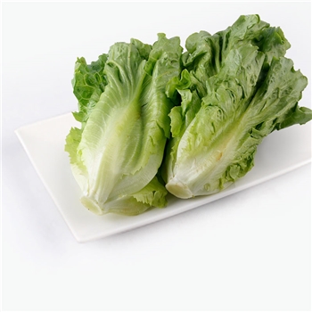 精品生态生菜 300g*12