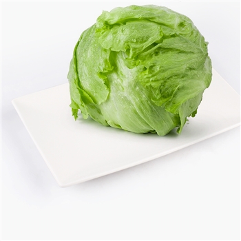 Eper精选 球生菜 400g*6