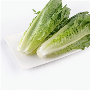 精品生态罗马生菜 400g*6