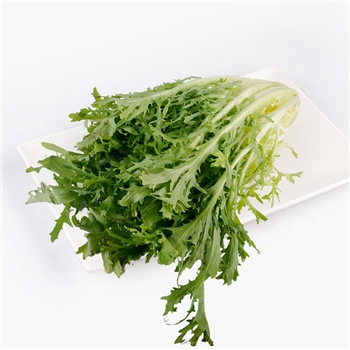 Eper精选 菊苣菜 200g*6
